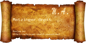 Metzinger Anett névjegykártya